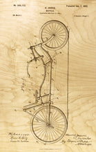 Load image into Gallery viewer, Bicycle w/Back-Rest