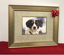 Load image into Gallery viewer, Pet Portraits by John